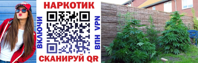 Купить закладку МАРИХУАНА  Alpha-PVP  ГАШИШ  Мефедрон  Cocaine  Заозёрный