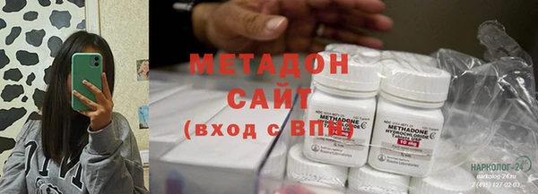 прущие грибы Горно-Алтайск