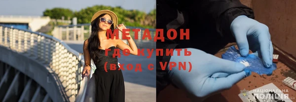 прущие грибы Горно-Алтайск