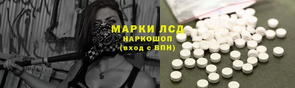 прущие грибы Горно-Алтайск