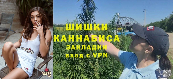 spice Гусев