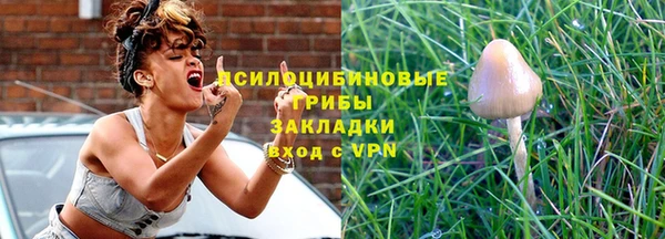прущие грибы Горно-Алтайск
