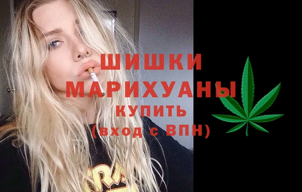 mix Гусиноозёрск