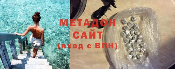 прущие грибы Горно-Алтайск