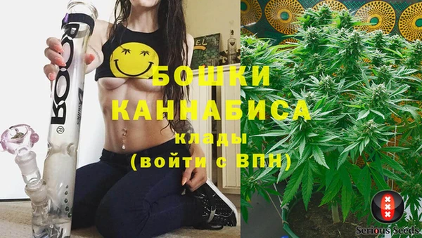 spice Гусев